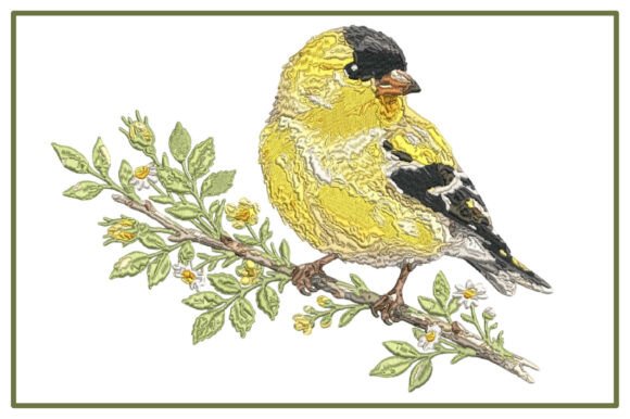 Realistic Goldfinch Bird Embroidery Review